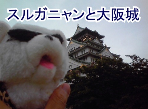 スルガニャンと大阪城.jpg